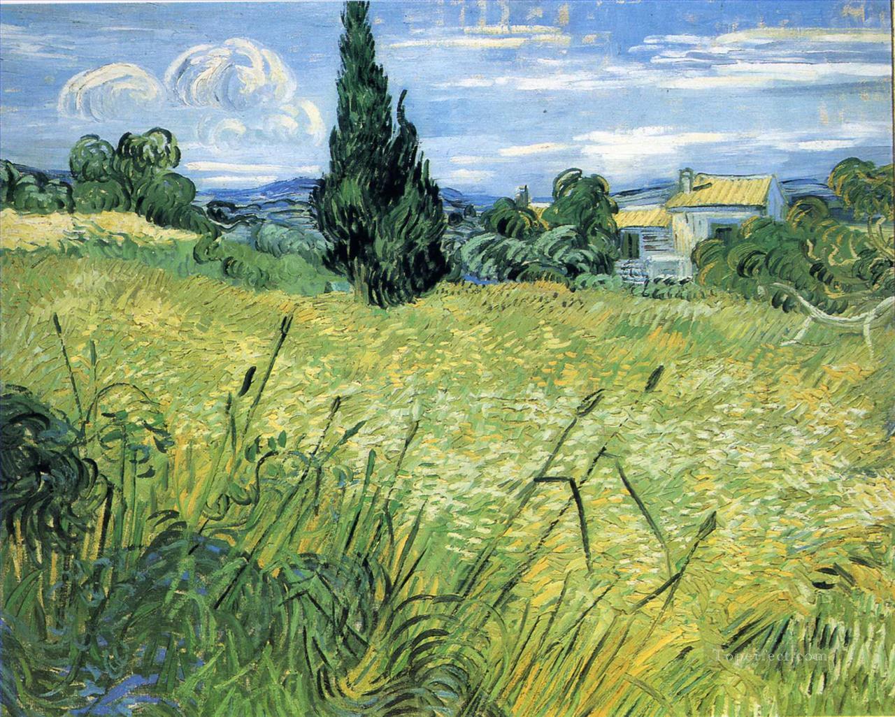 Green Wheat Field With Cypress Vincent Van Gogh Painting In Oil For Sale